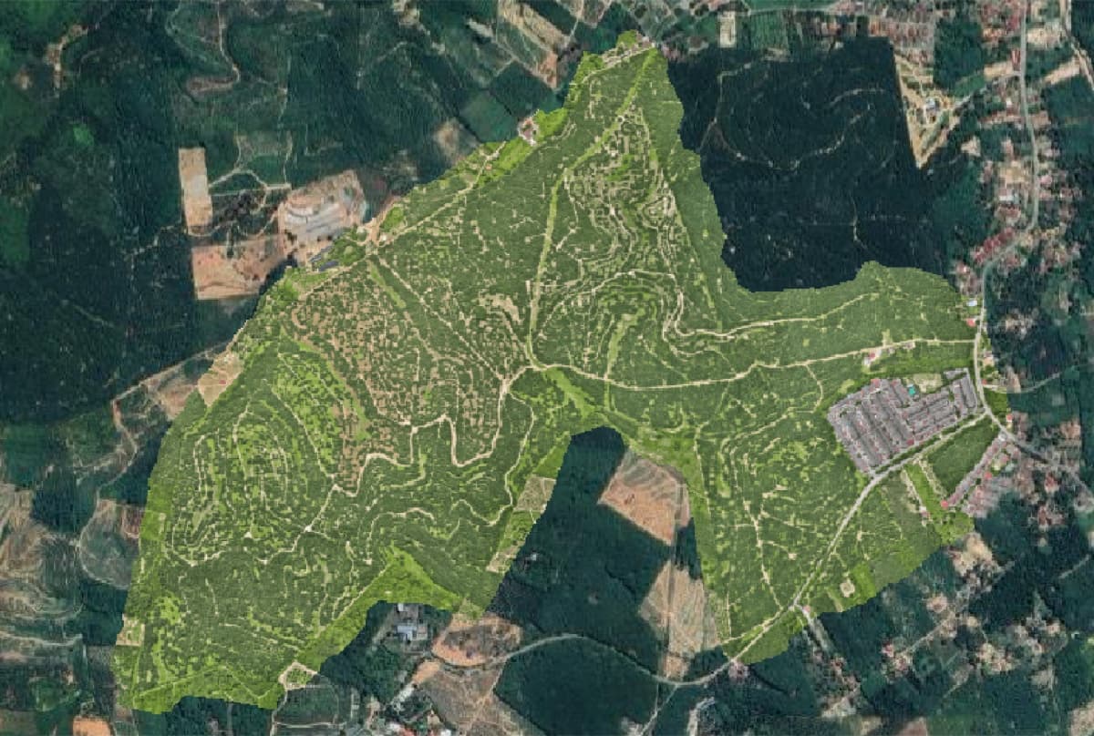 Boundary Mapping — After